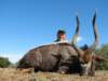 nyala_small.jpg