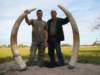 tusks_small.jpg